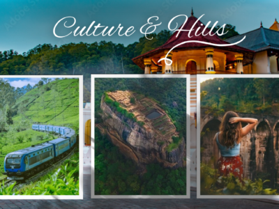 Sl culture & Hills 8N